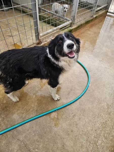 Rosalia giovane mammina equilibrata dolcissima 