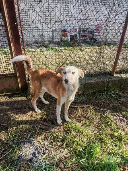 Gemma dolce e sensibile  | Foto 6