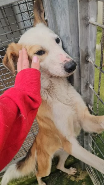 Gemma dolce e sensibile  | Foto 2