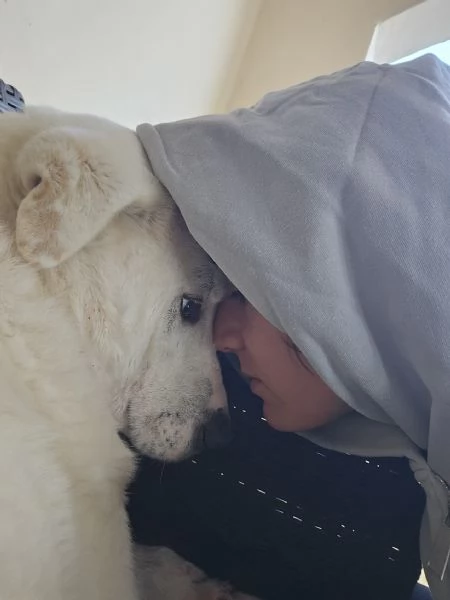 Consuelo dolce equilibrata socievole | Foto 1