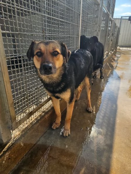 Andrea 2 anni timido e dolce con tutti | Foto 2