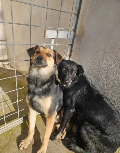 Andrea 2 anni timido e dolce con tutti | Foto 0