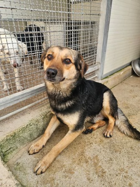 Andrea 2 anni timido e dolce