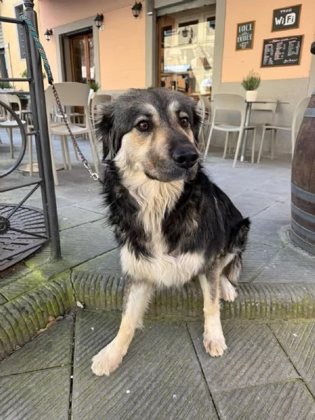 Cora non la vogliono piugrave Urgente  | Foto 1