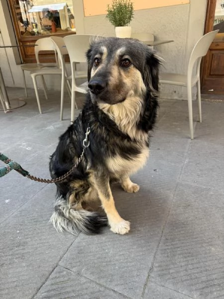 Cora non la vogliono piugrave Urgente 