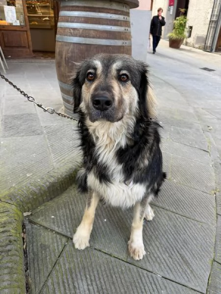 Cora non la vogliono piugrave Urgente  | Foto 0