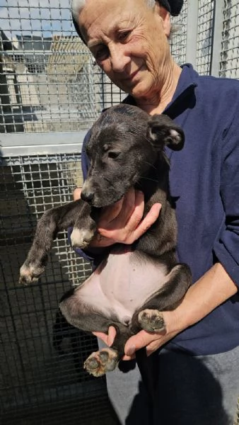 Maschietti e femminuccia 3 mesi taglia media | Foto 1