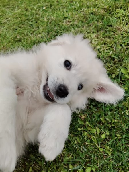 Punch 3 mesi taglia grande  | Foto 1