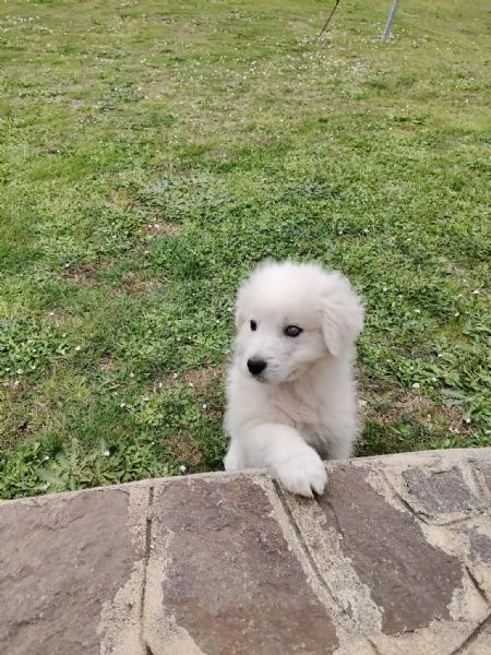 Punch 3 mesi taglia grande  | Foto 0