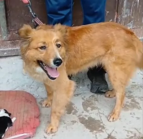 Stefi 2 anni taglia contenuta 