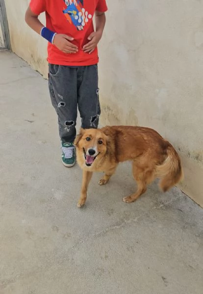 Stefi 2 anni taglia contenuta | Foto 5