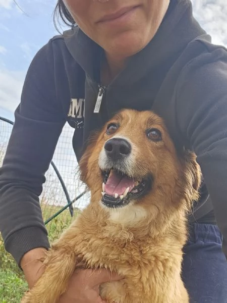 Stefi 2 anni taglia contenuta | Foto 4