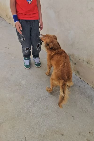 Stefi 2 anni taglia contenuta | Foto 3