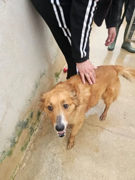 Stefi 2 anni taglia contenuta  | Foto 1