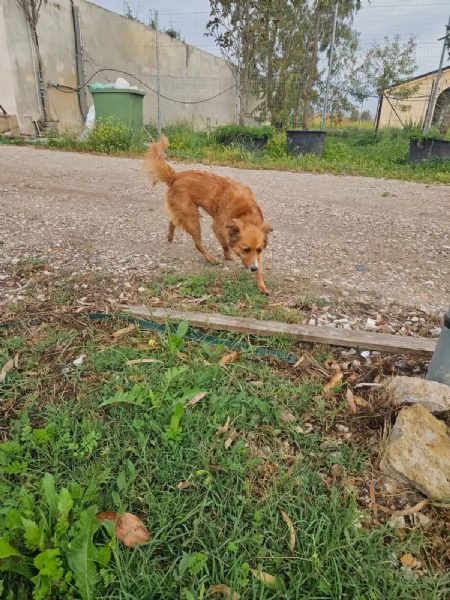 Stefi 2 anni taglia contenuta | Foto 2