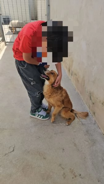 Stefi 2 anni taglia contenuta | Foto 1