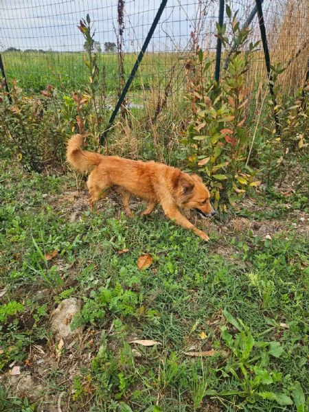 Stefi 2 anni taglia contenuta | Foto 0
