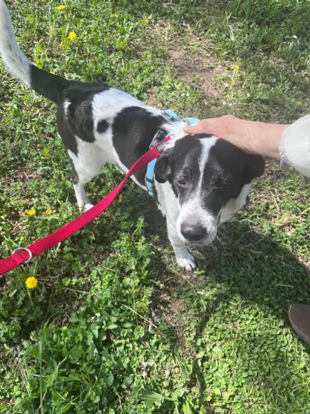 Coffee super dolce amico di tutti 