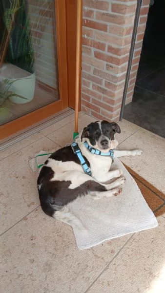 Coffee super dolce amico di tutti  | Foto 4