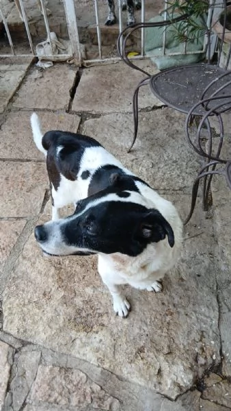 Coffee super dolce amico di tutti  | Foto 0