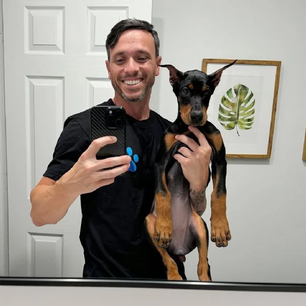 Cuccioli di razza pura Doberman Pinscher  | Foto 2