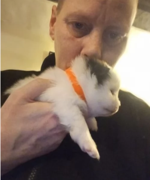 per adozione regalo Volpino Pomerania da privato | Foto 0
