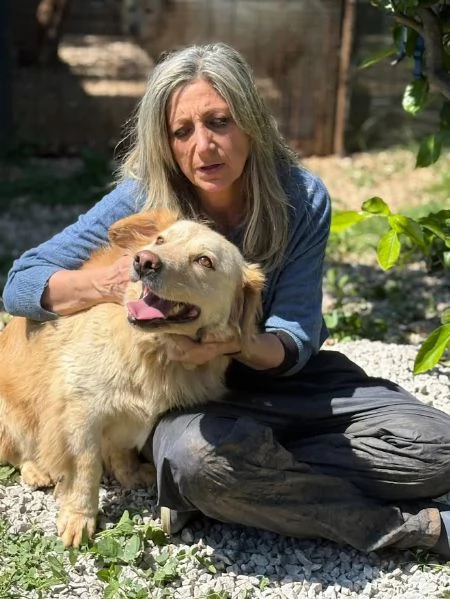 DOLCE OSCAR cerca famiglia per sempre