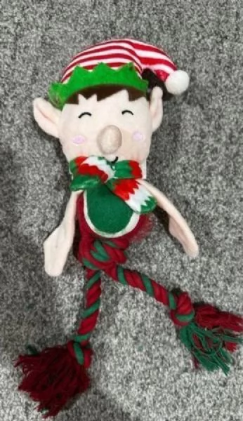 disponibili cuccioli di maltese toy per la dozione 