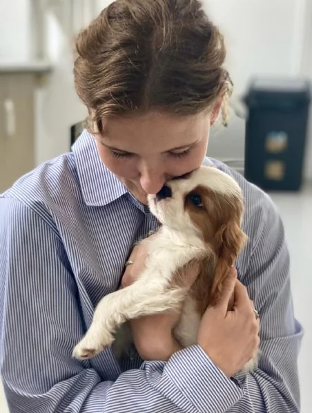 Cucciolo donato da un volontario | Foto 1