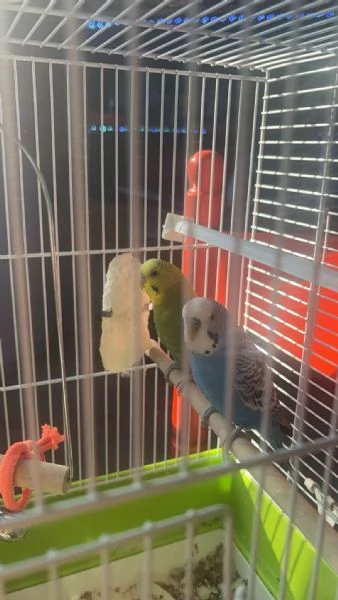  | Foto 2