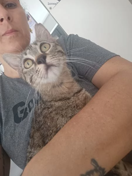 Dolce Lulu cerca casa