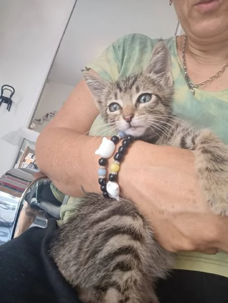 Adotta Oliver  | Foto 1