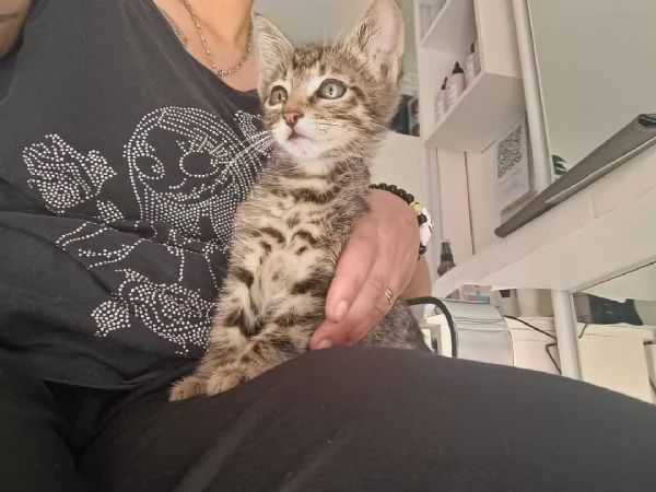 Adotta Oliver 