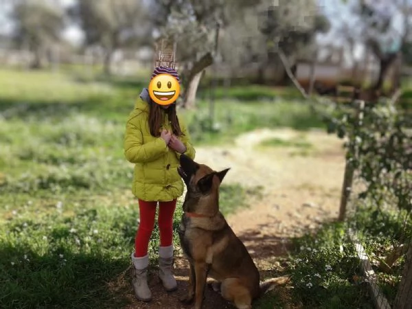Educazione Cinofila per privati e famiglie 