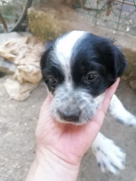 Setter nati il 18052025