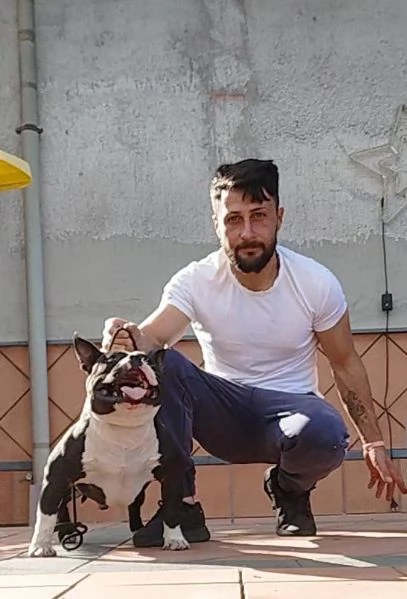 American bully  | Foto 0