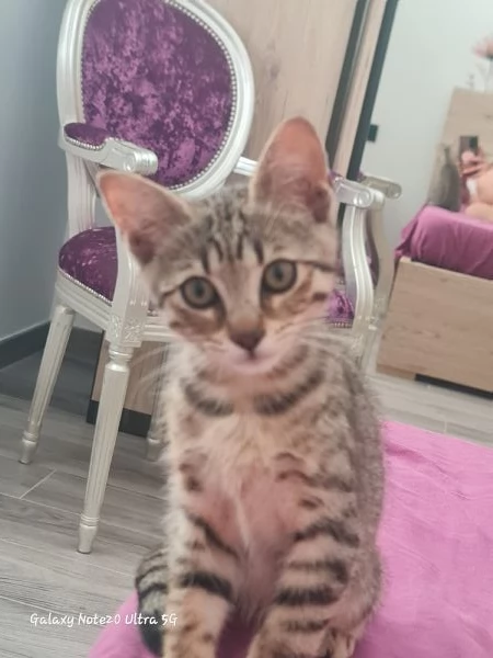 Coco cerca casa