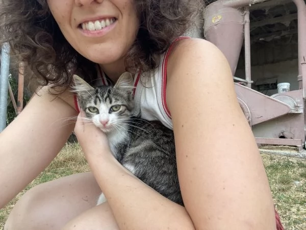 Regalo gattine di 3 mesi | Foto 5