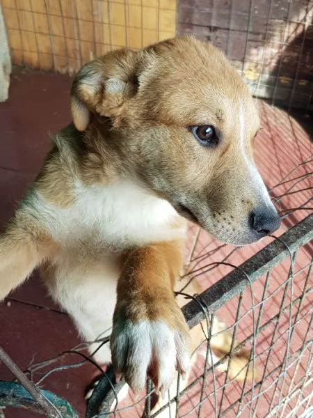 Argo 8 mesi