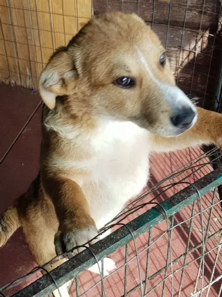 Argo 8 mesi | Foto 1