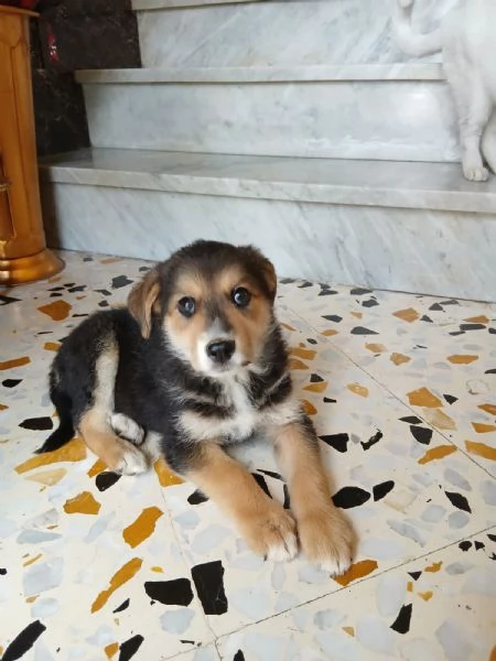 Gemma due mesi | Foto 2