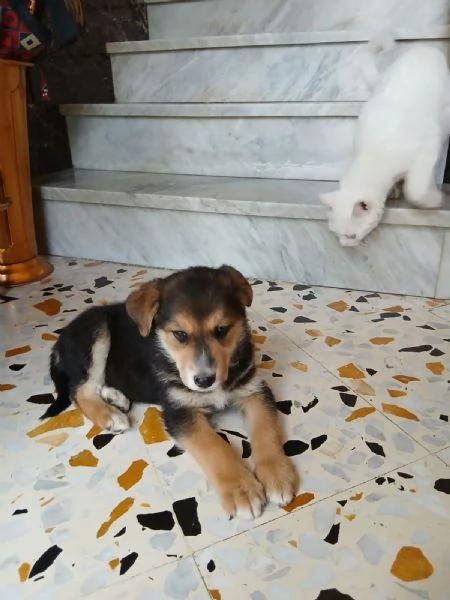 Gemma due mesi | Foto 1