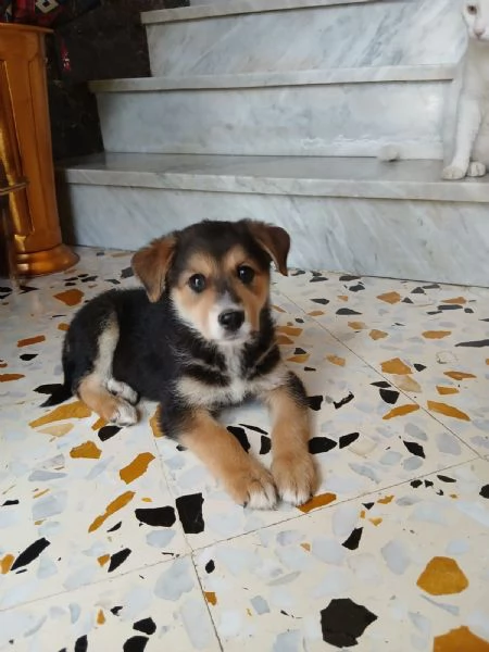 Gemma due mesi | Foto 0
