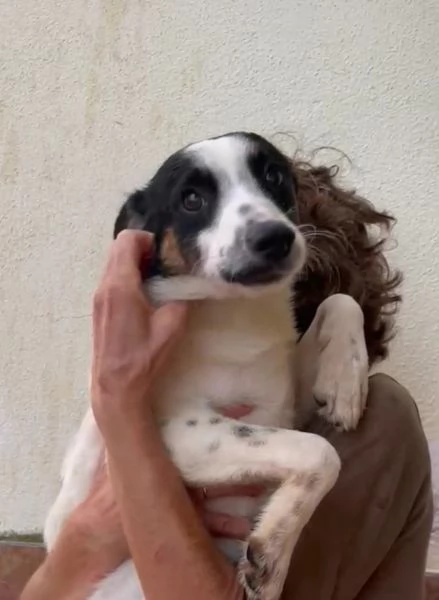 Ciro 11 kili 7 mesi 