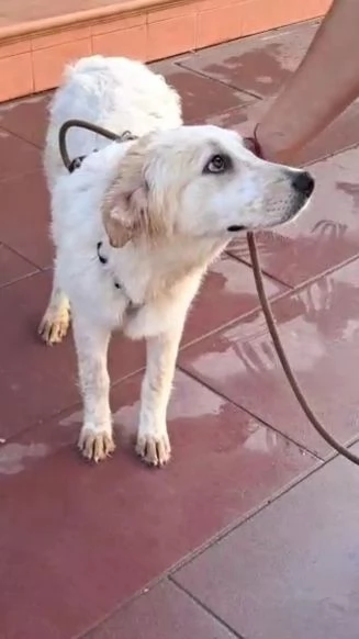Diva 5 mesi