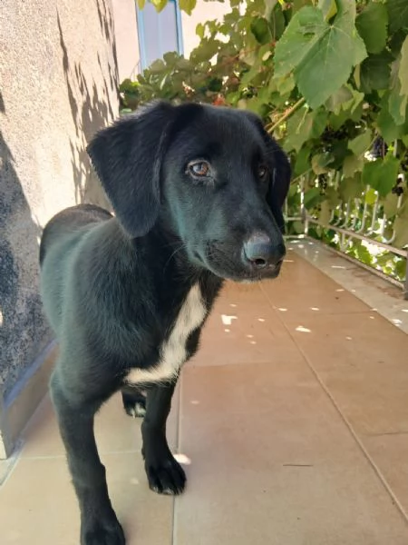 Tata 4 mesi