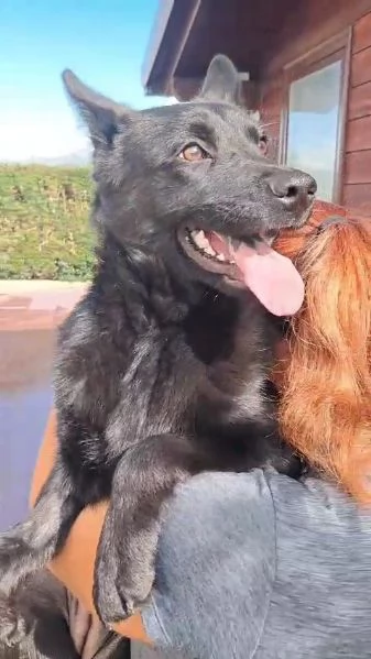 Dakota 6 mesi | Foto 1