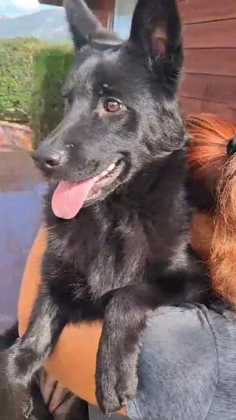 Dakota 6 mesi