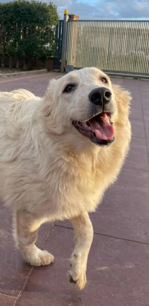 Diva 6 mesi