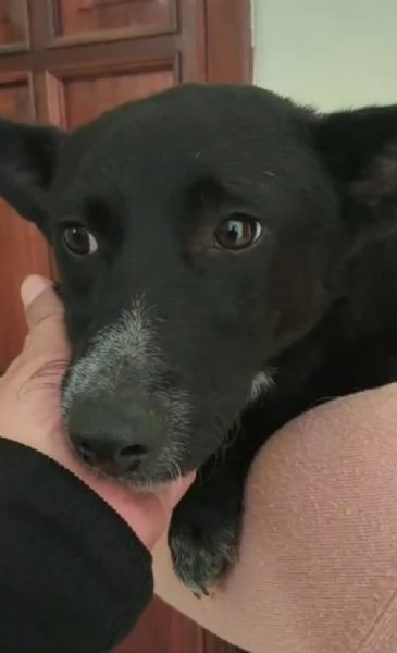 Arisa taglia piccola | Foto 1